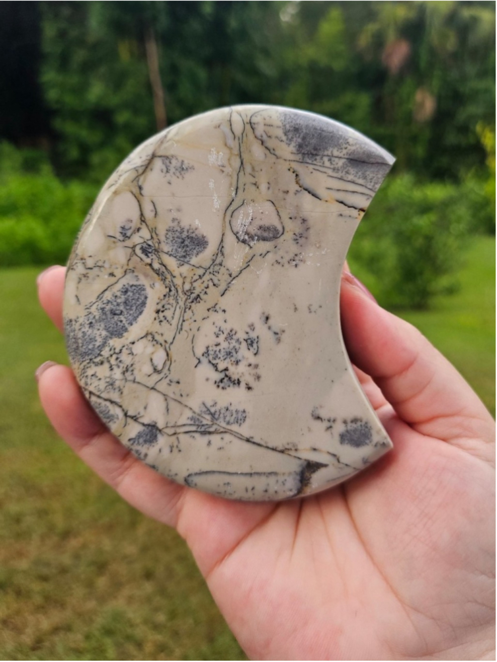 Picture jasper moon 4 in